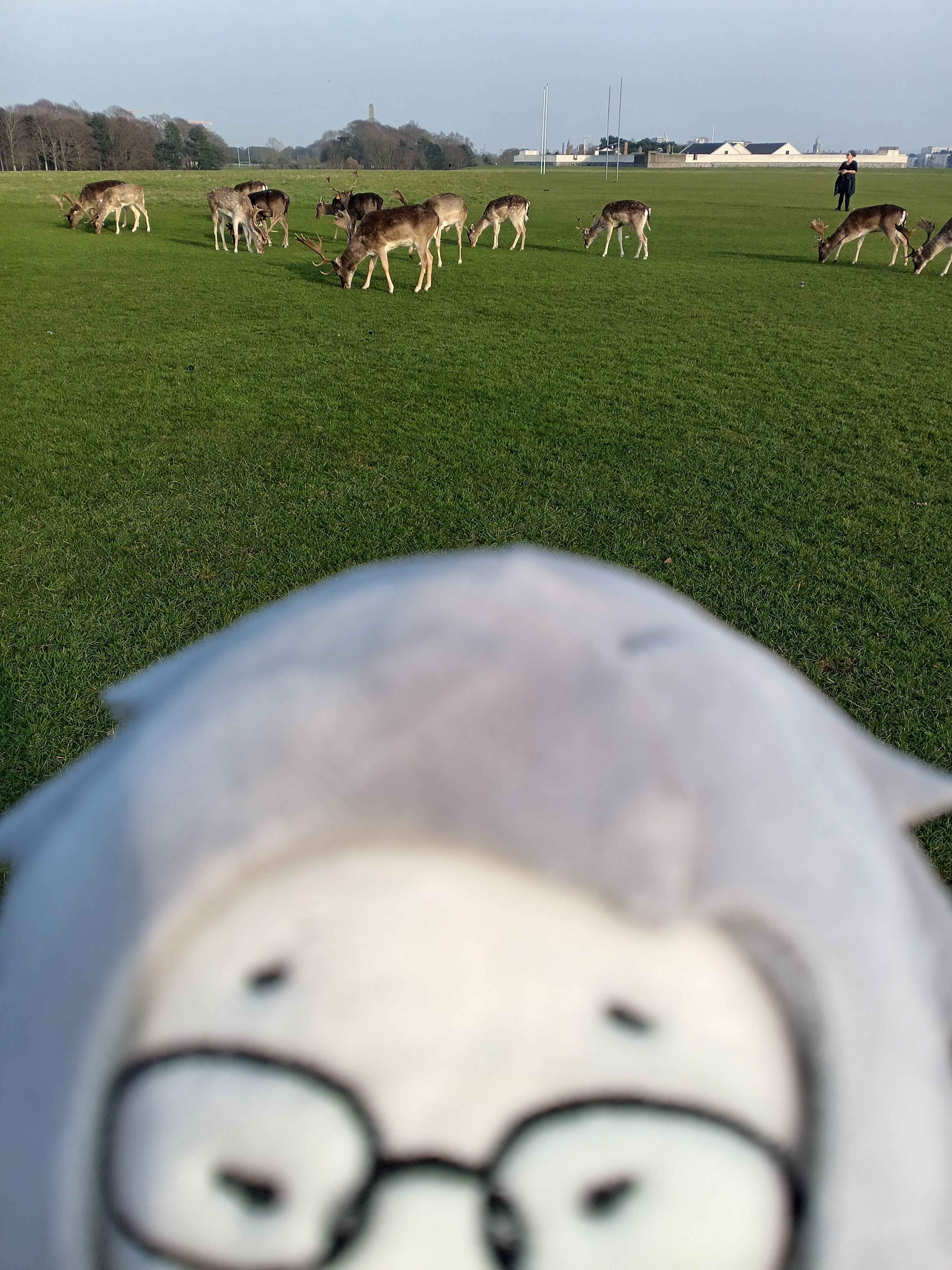eito peers at you